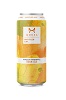 Untitled Art Apricot Pineapple Sour Ale 4pk