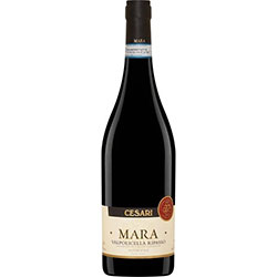 Cesari Mara 2019 Valpolicella Ripasso Superiore Wine