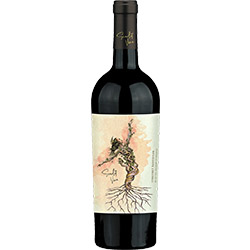 Scarlet Vine 2019 Cabernet Sauvignon Wine