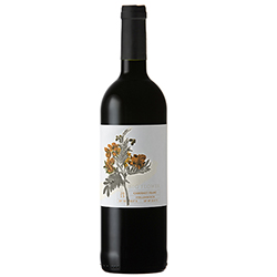 Big Flower 2022 Cabernet Franc Stellenbosch South Africa Wine