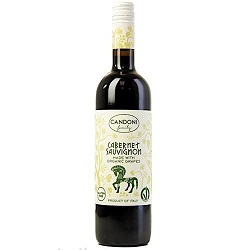 Candoni 2019 Cabernet Sauvignon Wine