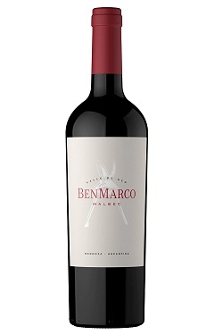 BenMarco 2020 Valle De Uco Mendoza Malbec Wine