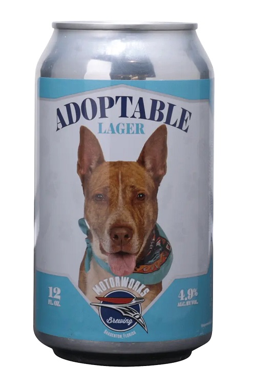 Motorworks Adoptable Lager 6pk